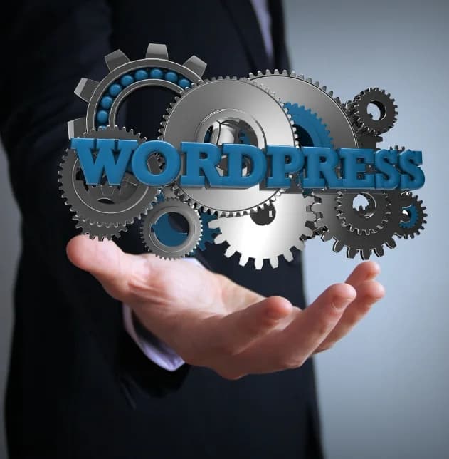 Developer building a WordPress website